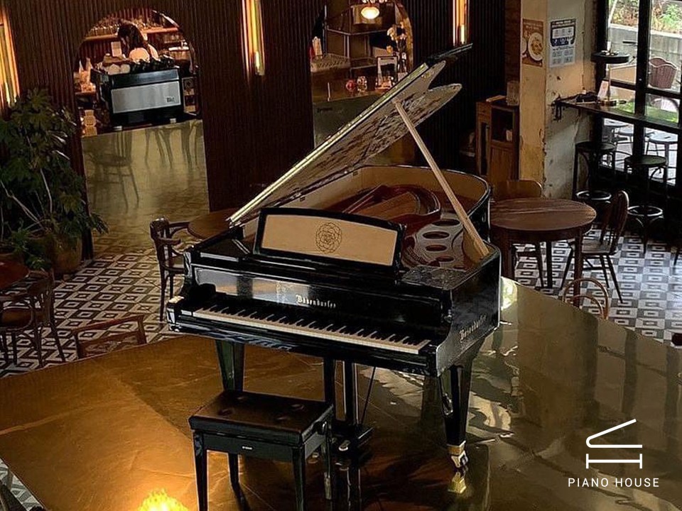 [Collector's Item] CAMELIA