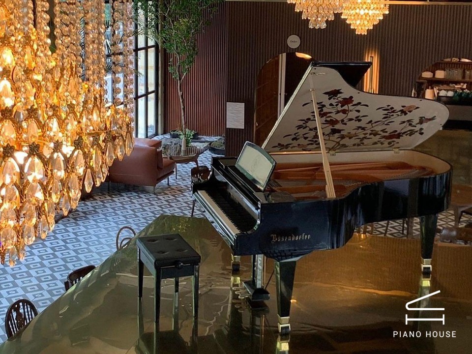 [Collector's Item] CAMELIA