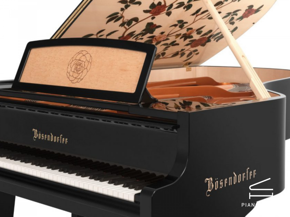 [Collector's Item] CAMELIA