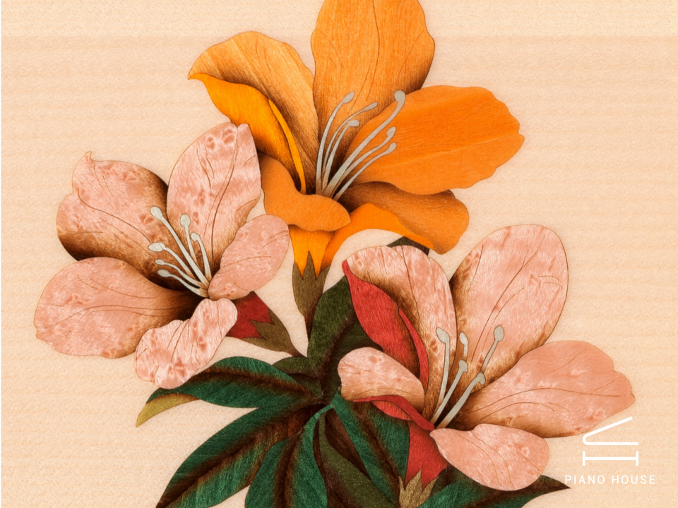 [Collector's Item] DRAGONFLY