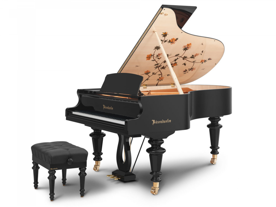 [Collector's Item] DRAGONFLY