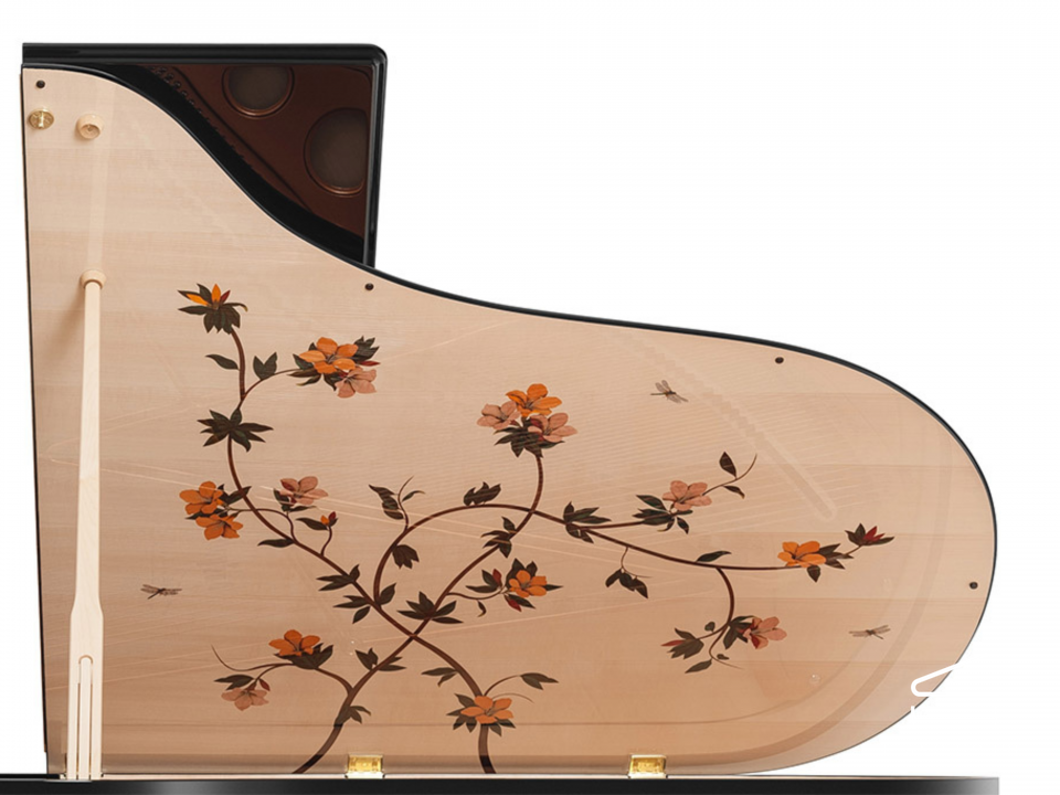 [Collector's Item] DRAGONFLY