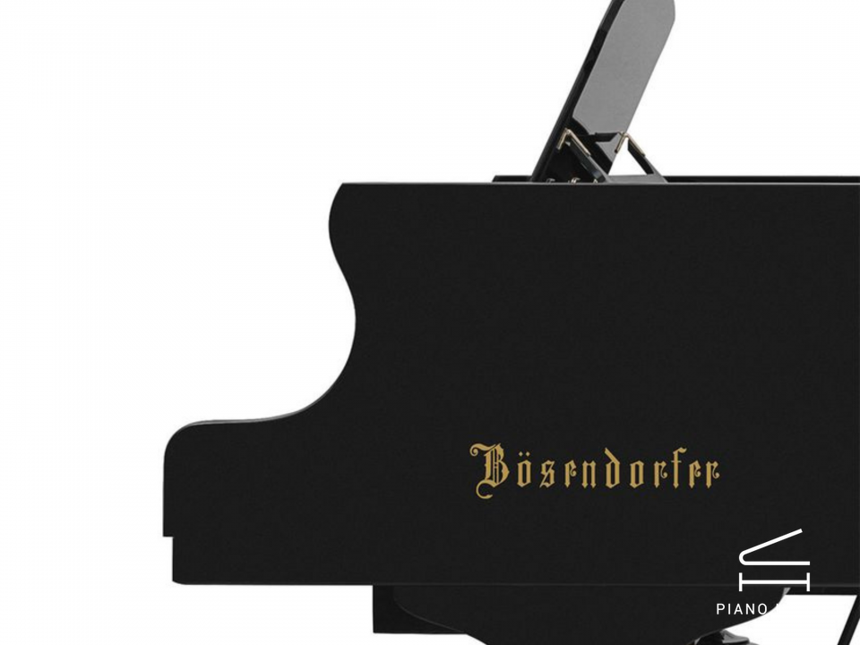 [Collector's Item] DRAGONFLY