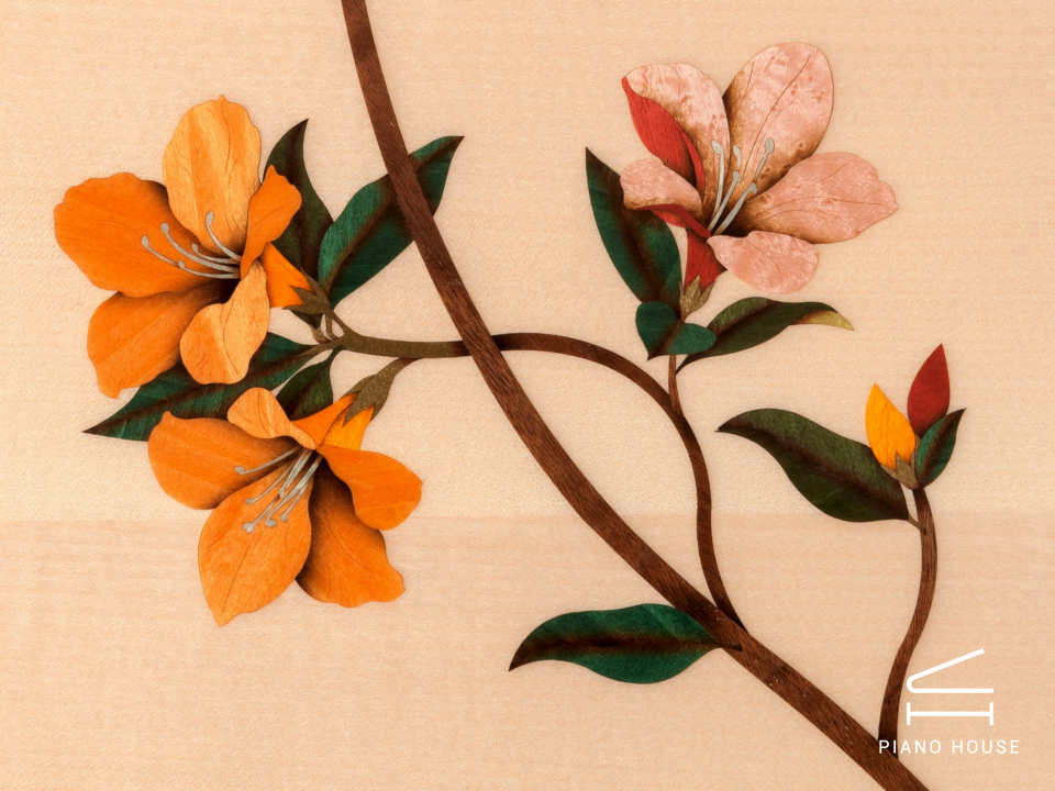 [Collector's Item] DRAGONFLY