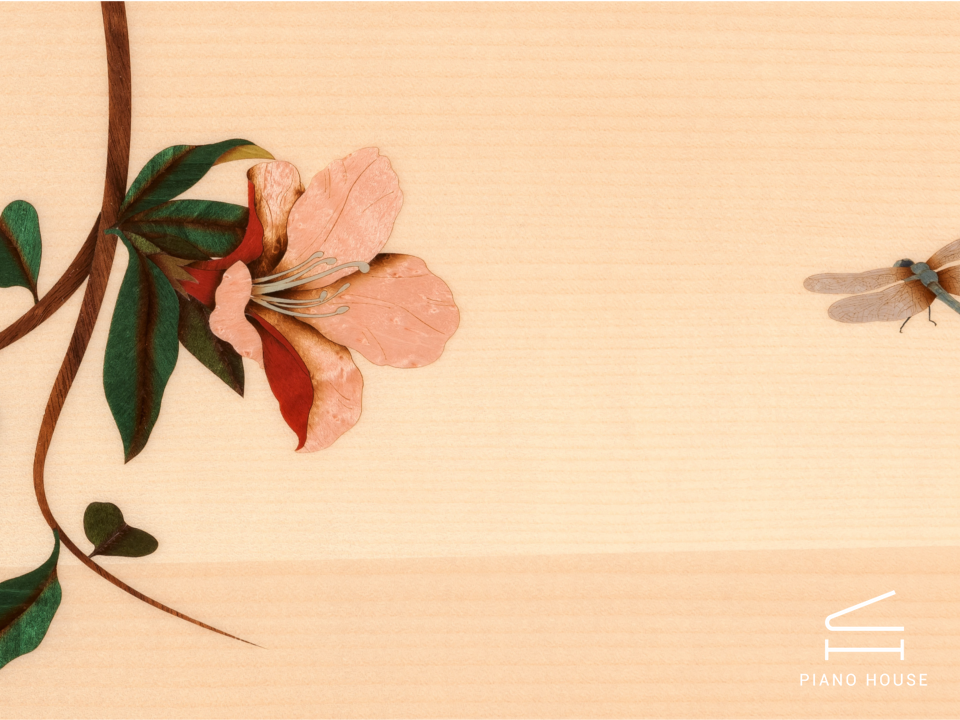 [Collector's Item] DRAGONFLY