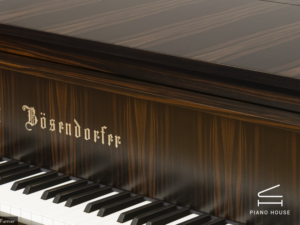 [Ultimate Designed] EGDE