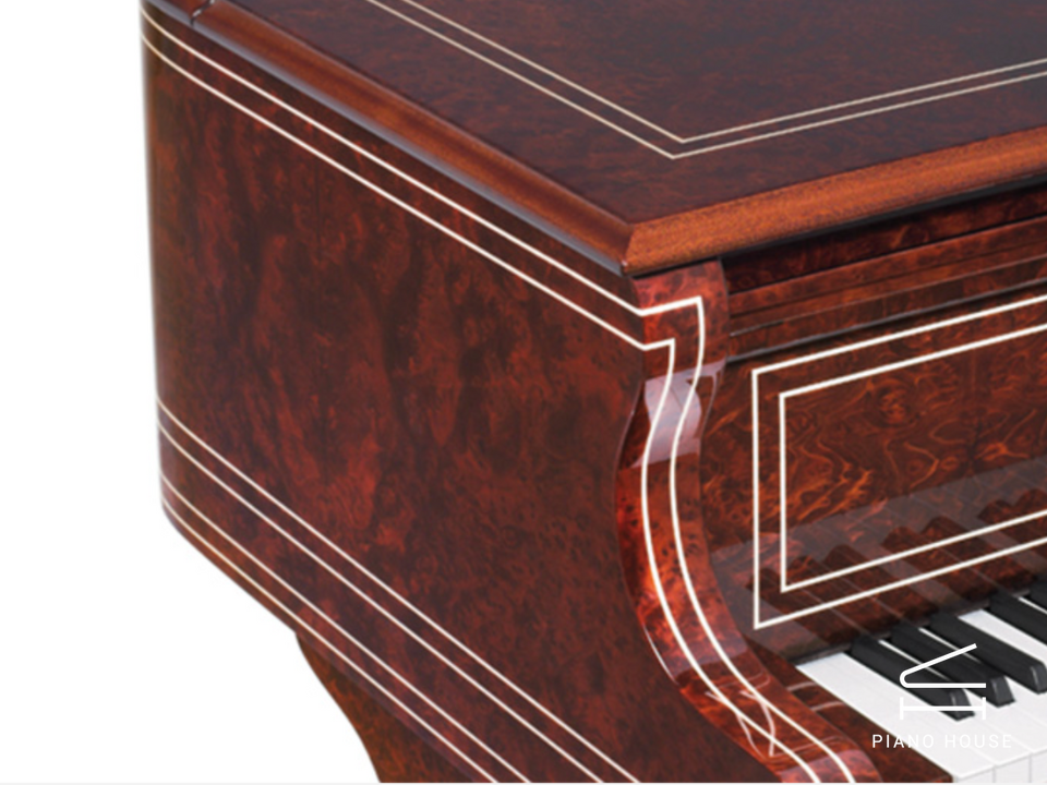 [Ultimate Designed] LISZT