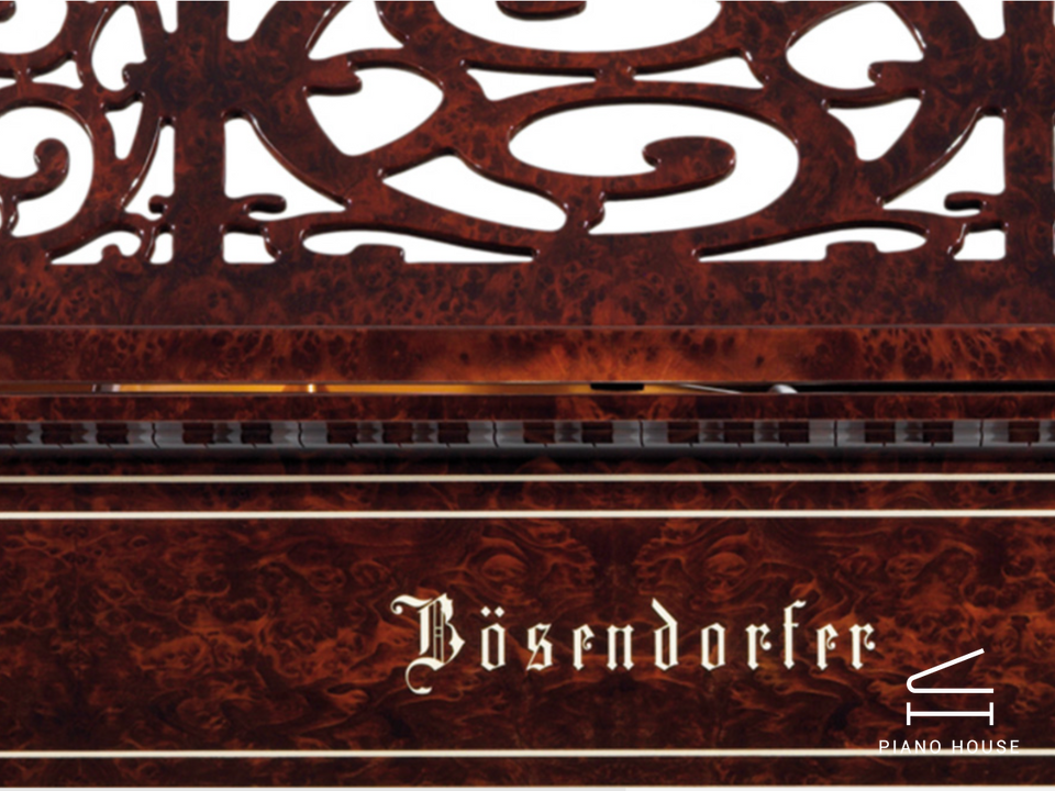 [Ultimate Designed] LISZT