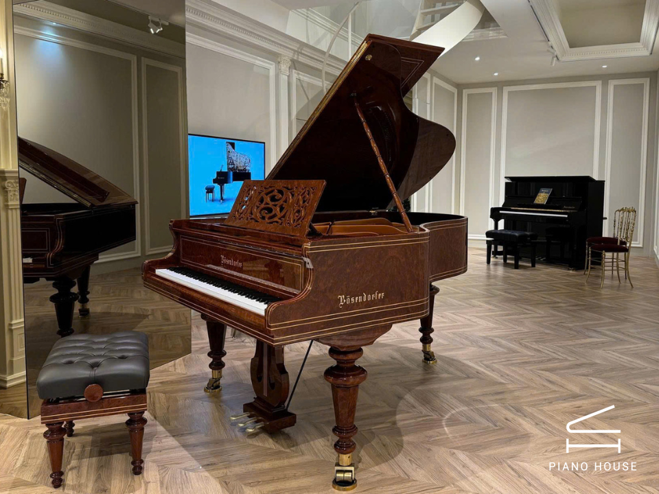 [Ultimate Designed] LISZT