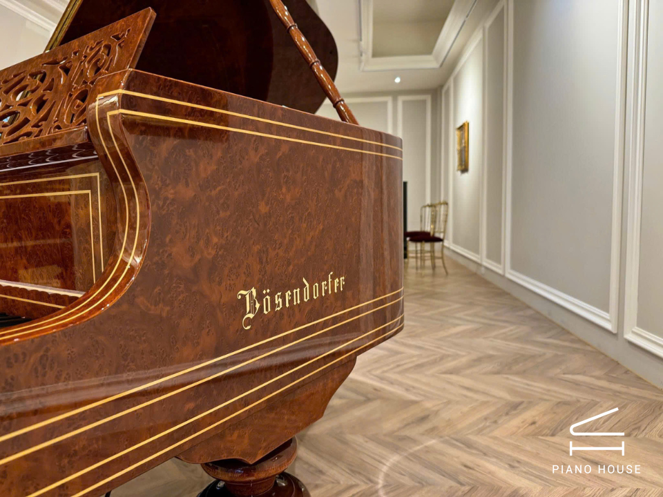 [Ultimate Designed] LISZT