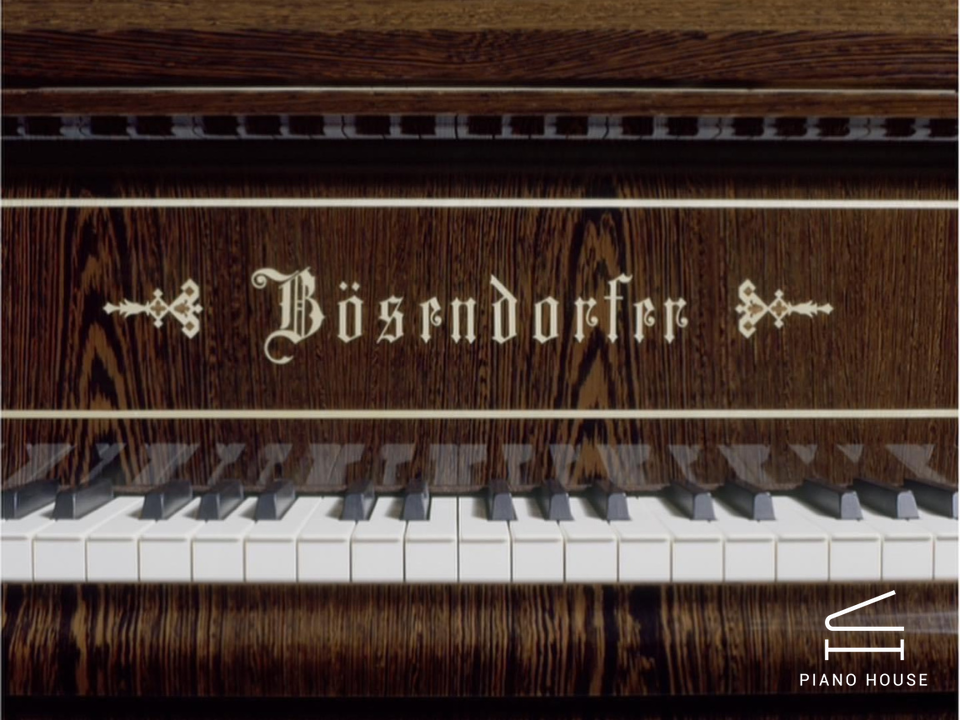 [Collector's Item] SENATOR