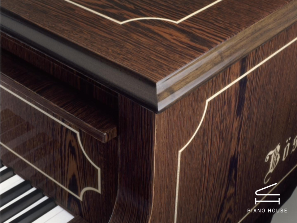 [Collector's Item] SENATOR