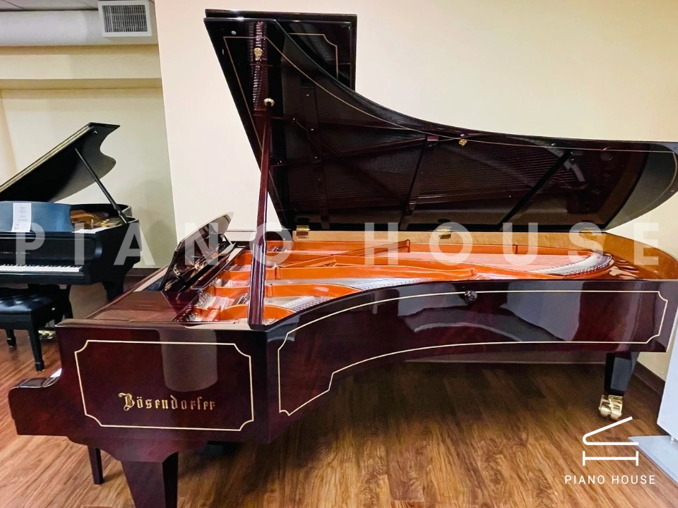 [Collector's Item] SENATOR