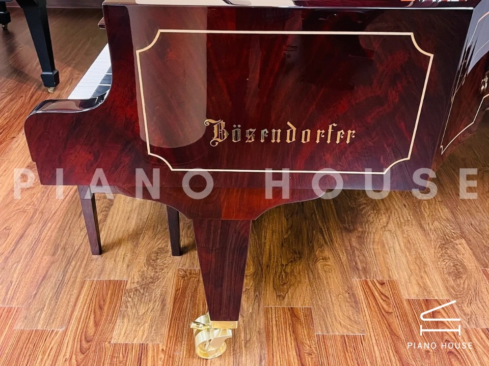 [Collector's Item] SENATOR