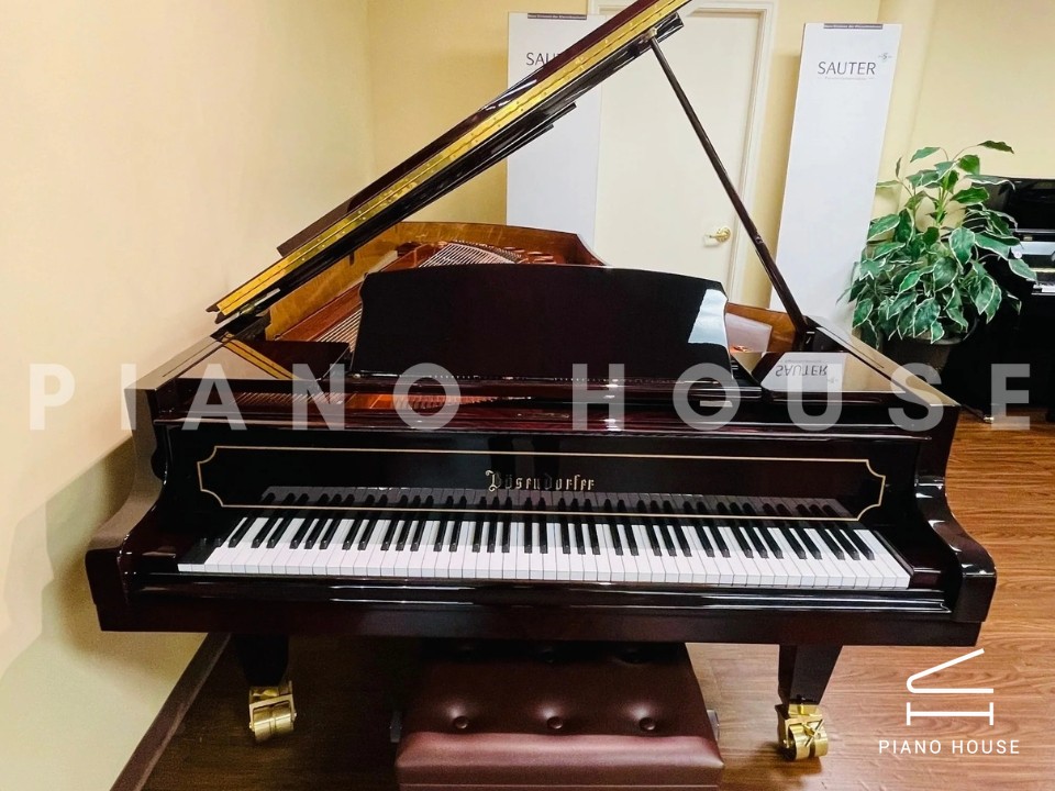 [Collector's Item] SENATOR