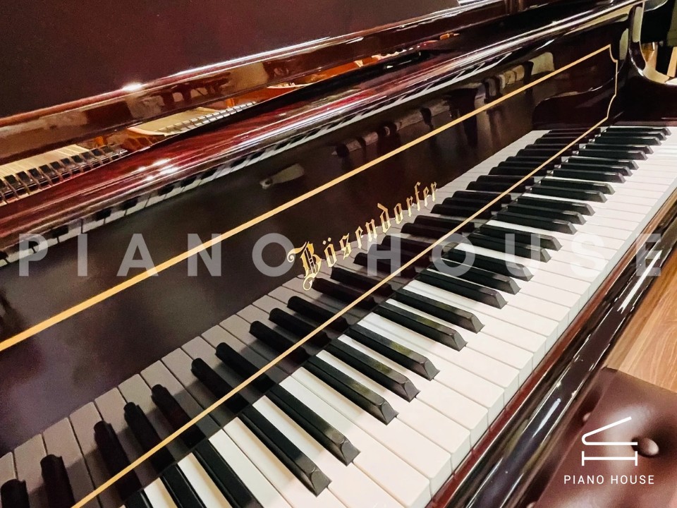 [Collector's Item] SENATOR