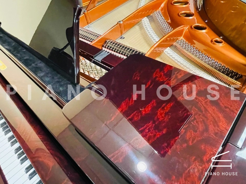 [Collector's Item] SENATOR