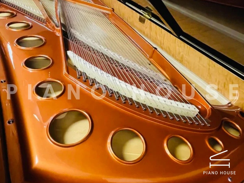 [Collector's Item] SENATOR