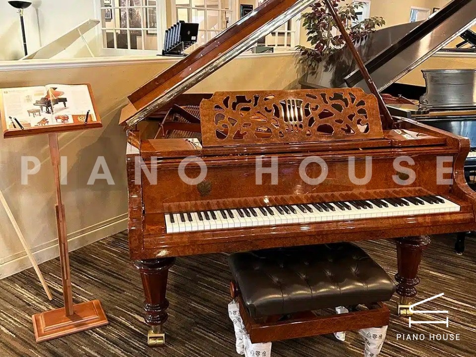 [Ultimate Designed] STRAUSS