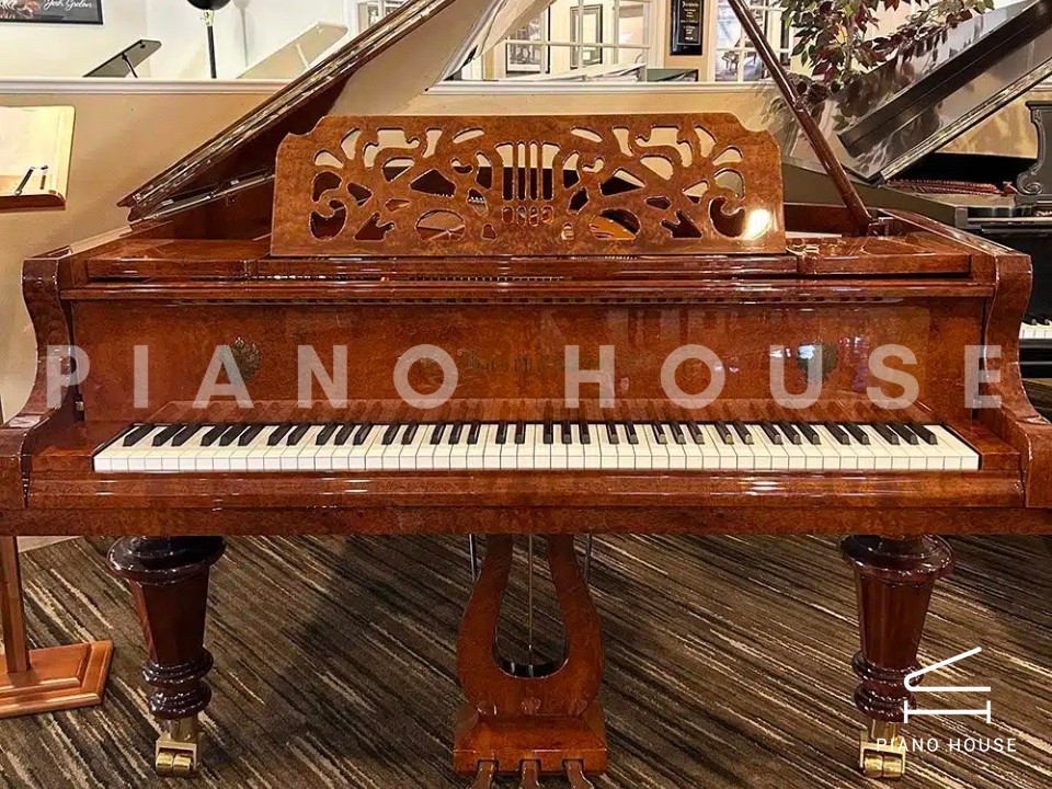 [Ultimate Designed] STRAUSS