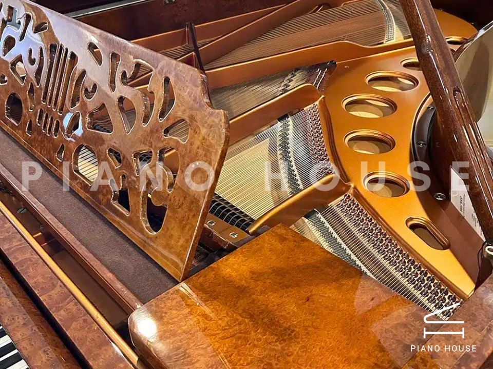 [Ultimate Designed] STRAUSS