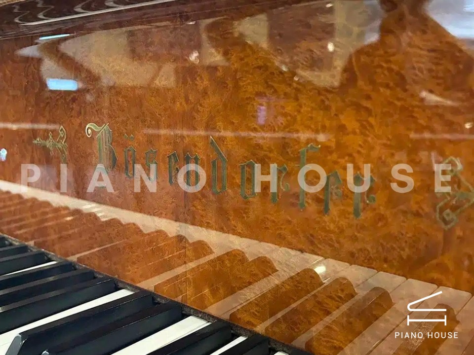 [Ultimate Designed] STRAUSS