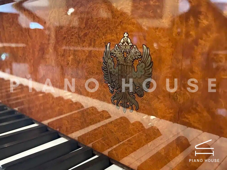 [Ultimate Designed] STRAUSS