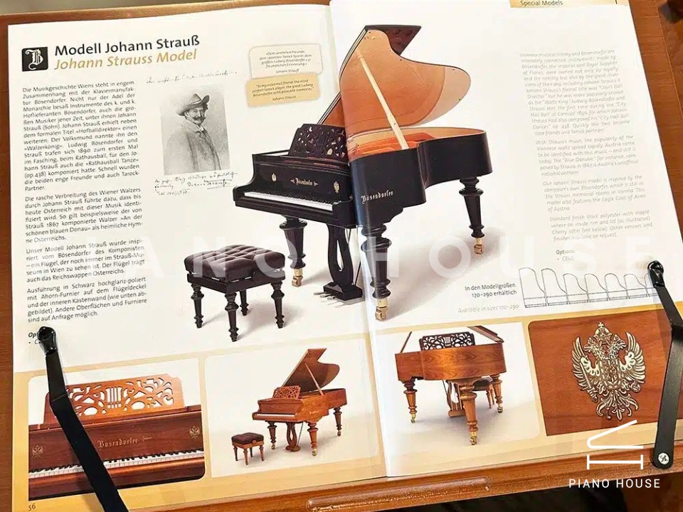 [Ultimate Designed] STRAUSS