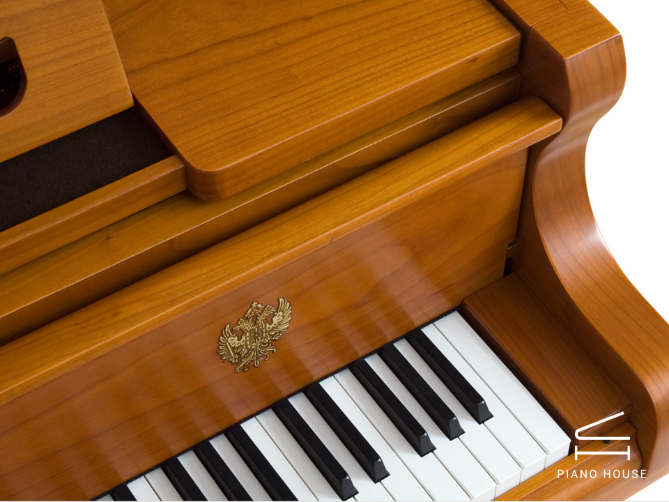 [Ultimate Designed] STRAUSS