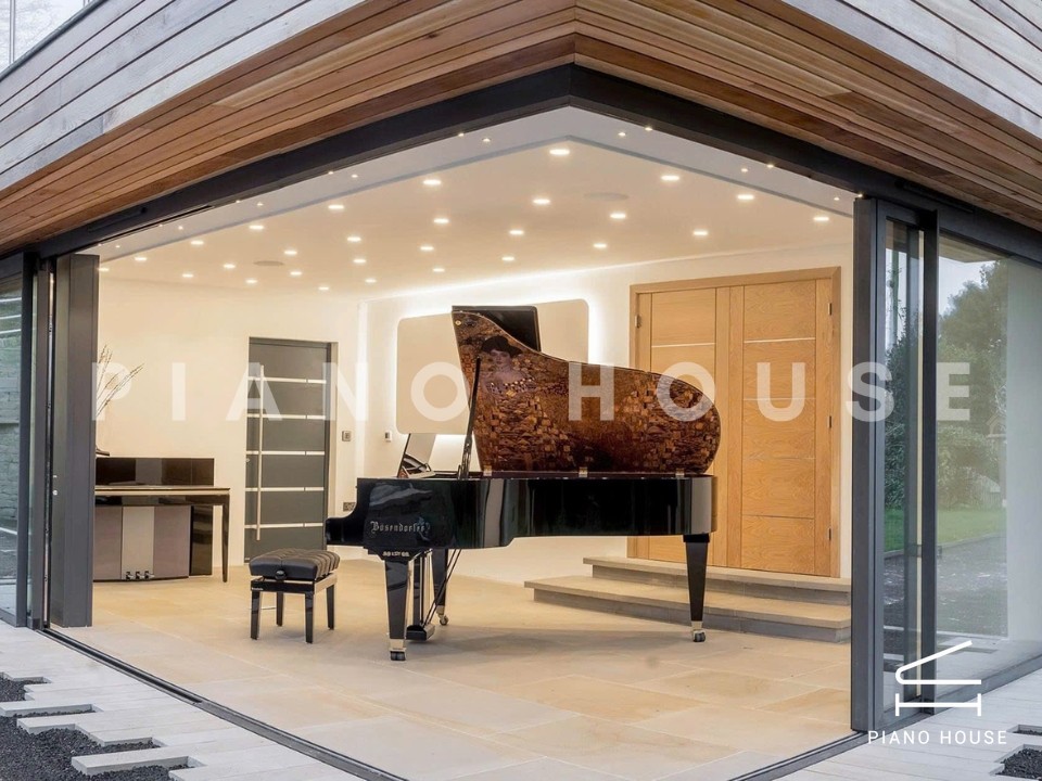 [Collector's Item] WOMAN IN GOLD