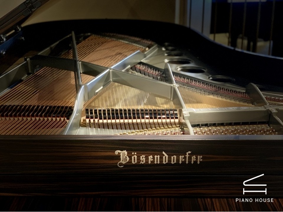 [Ultimate Designed] EGDE