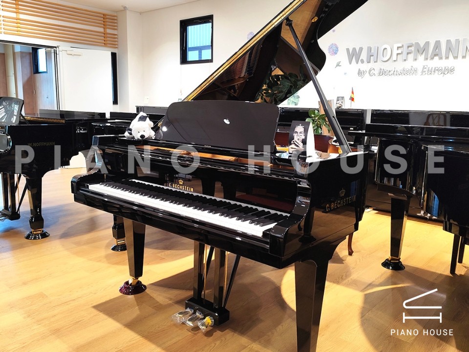 C.Bechstein Academy A160 (Black with Brass)