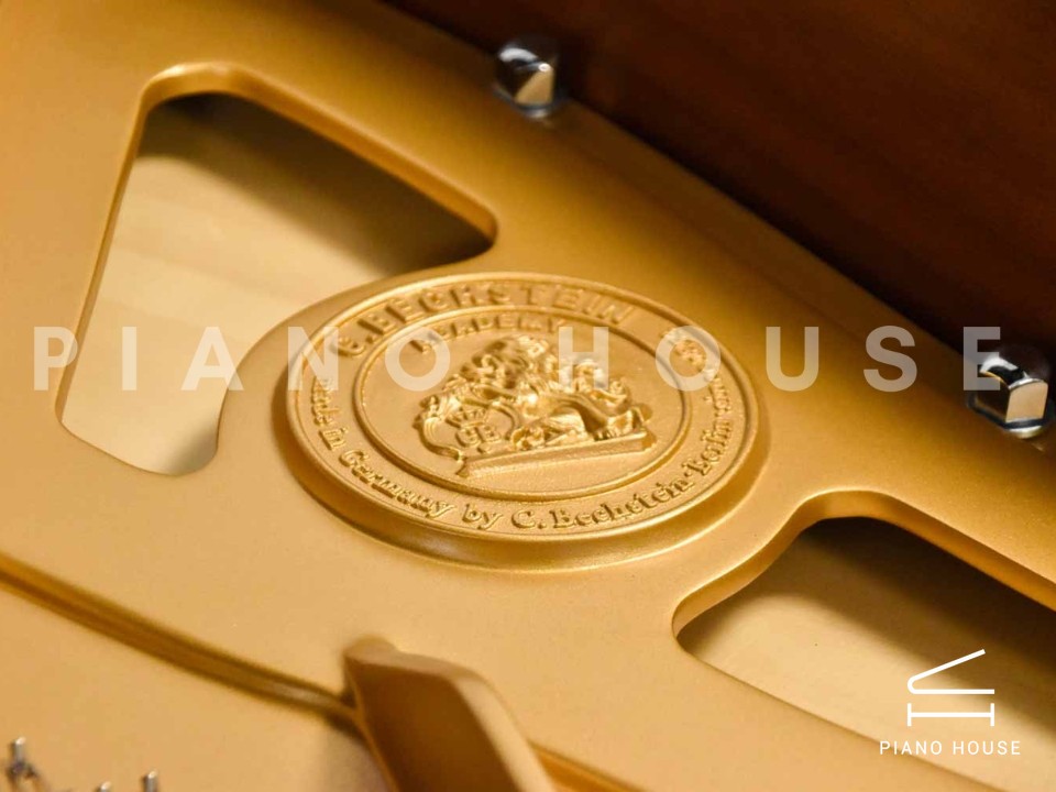 C.Bechstein Academy A160 (Black with Brass)