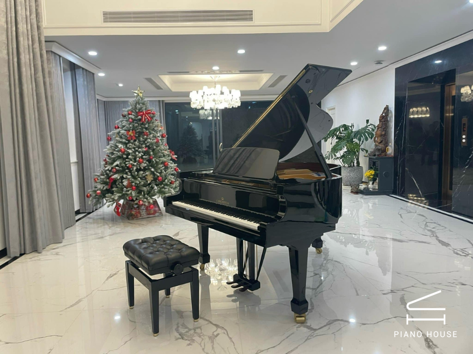 C.Bechstein Academy A175