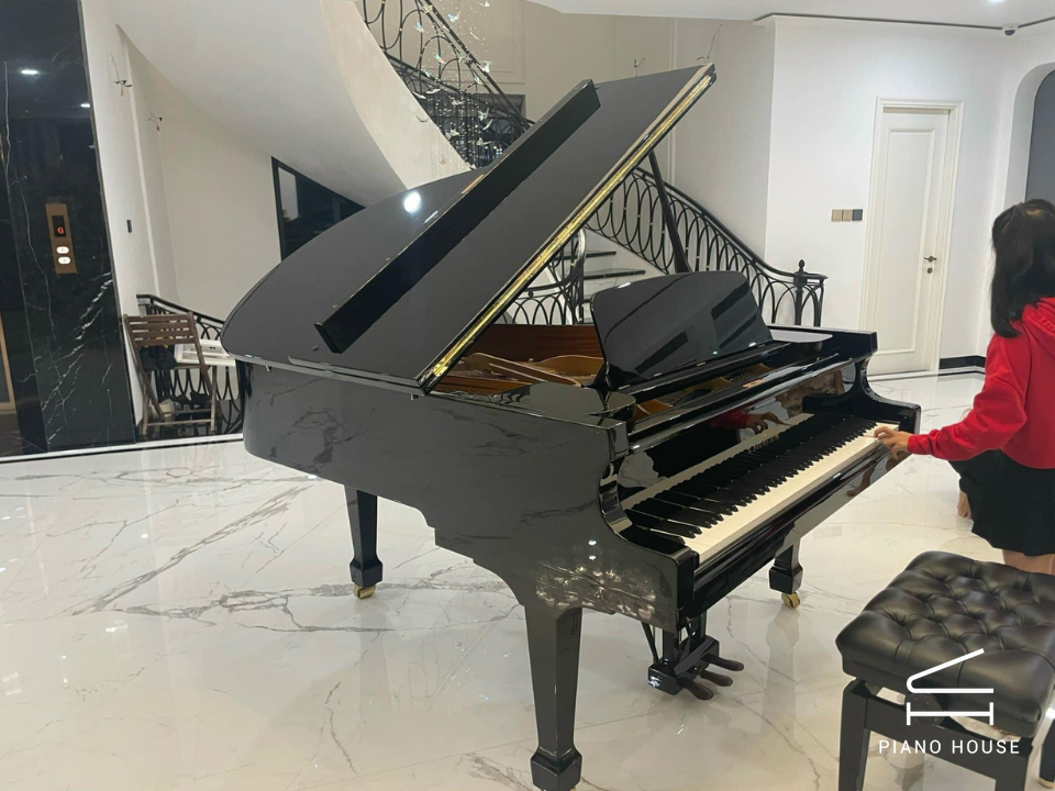 C.Bechstein Academy A175