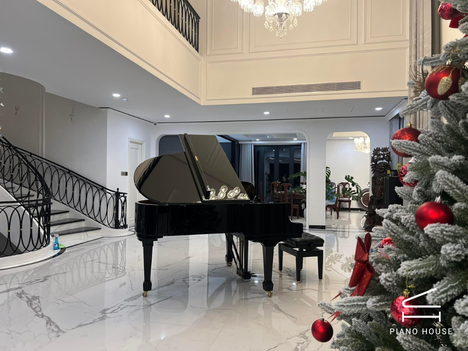 C.Bechstein Academy A175