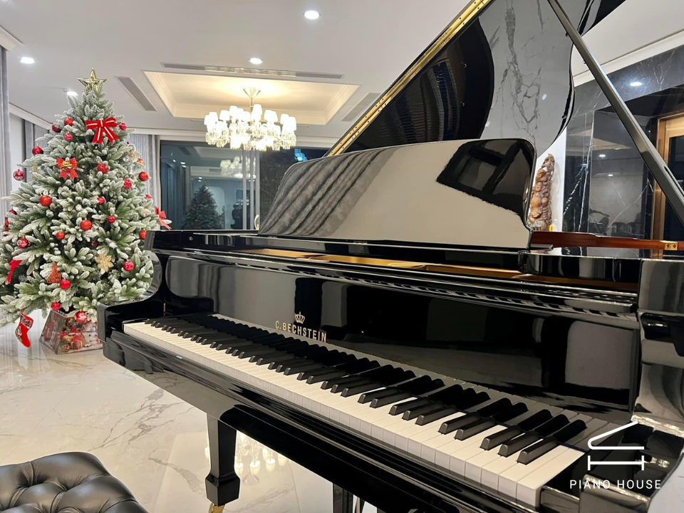 C.Bechstein Academy A175