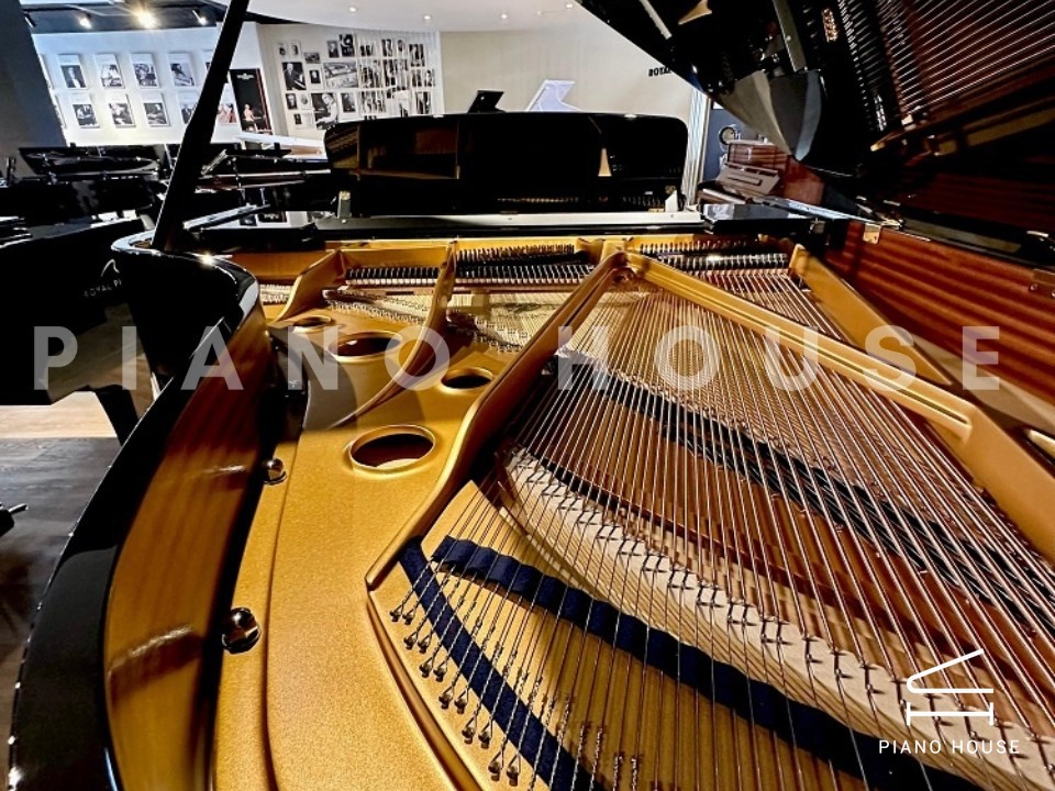 C.Bechstein Academy A190 (USED)