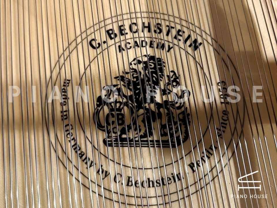C.Bechstein Academy A190 (USED)