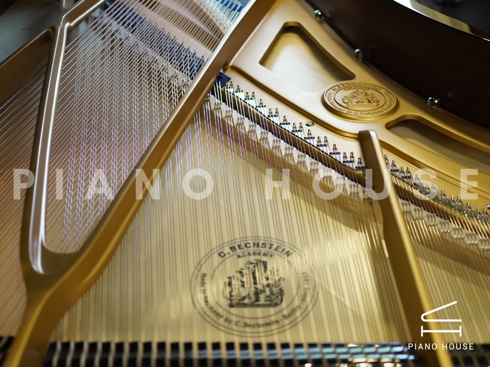 C.Bechstein Academy A208