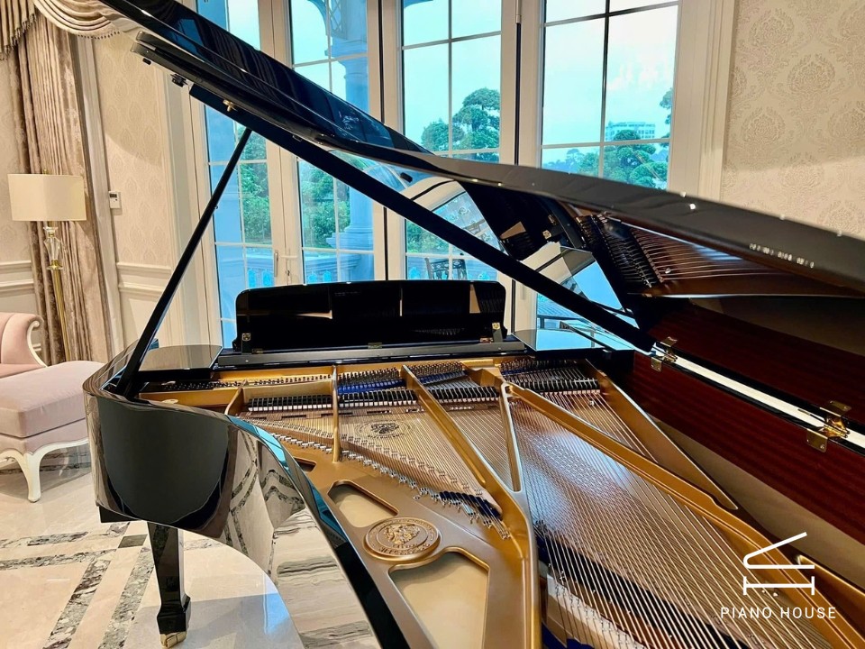 C.Bechstein Academy A228