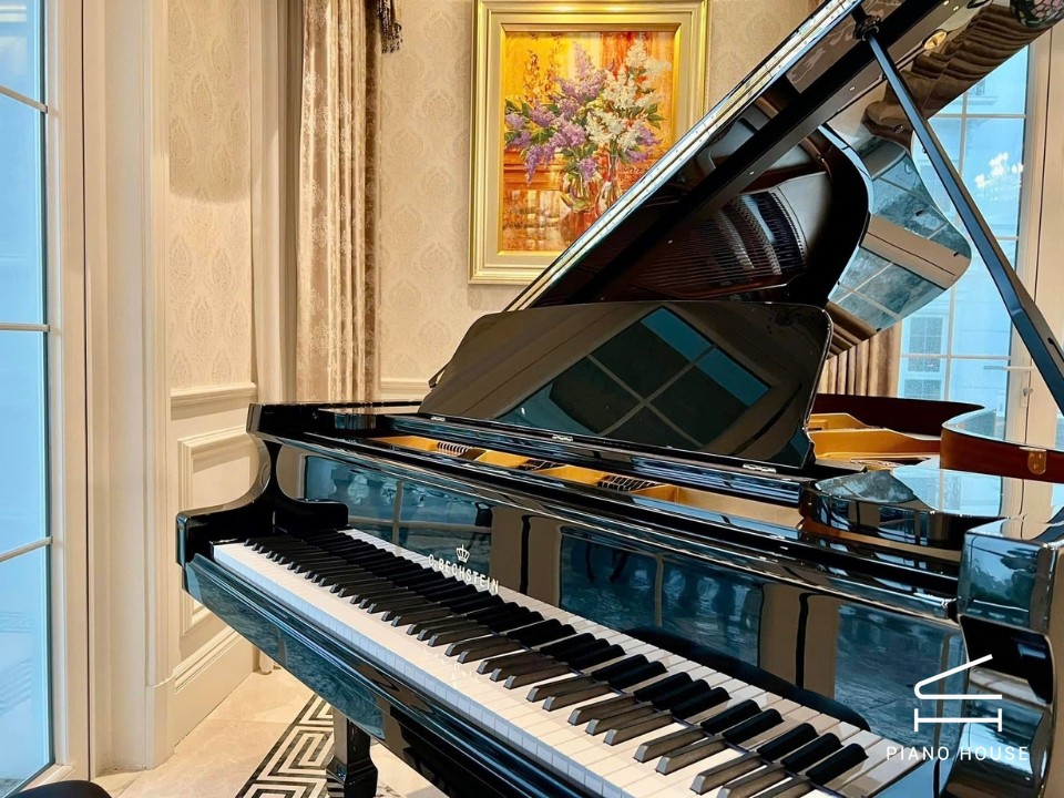 C.Bechstein Academy A228
