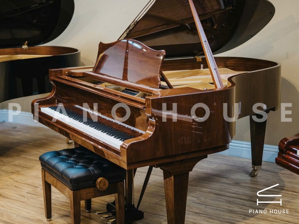 Concert A192 (Walnut with Brass)