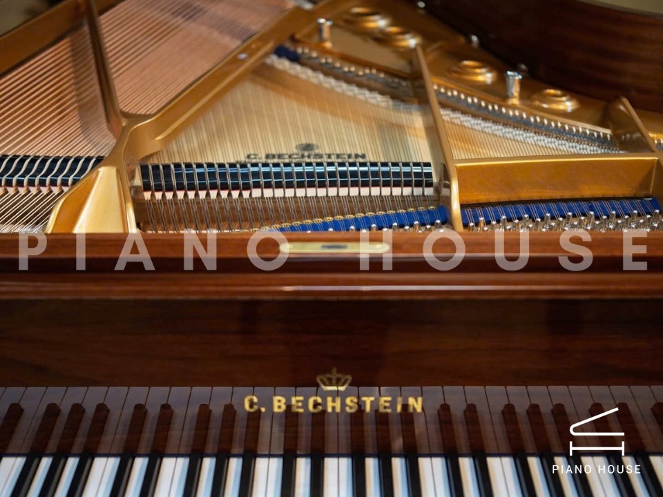 Concert A192 (Walnut with Brass)