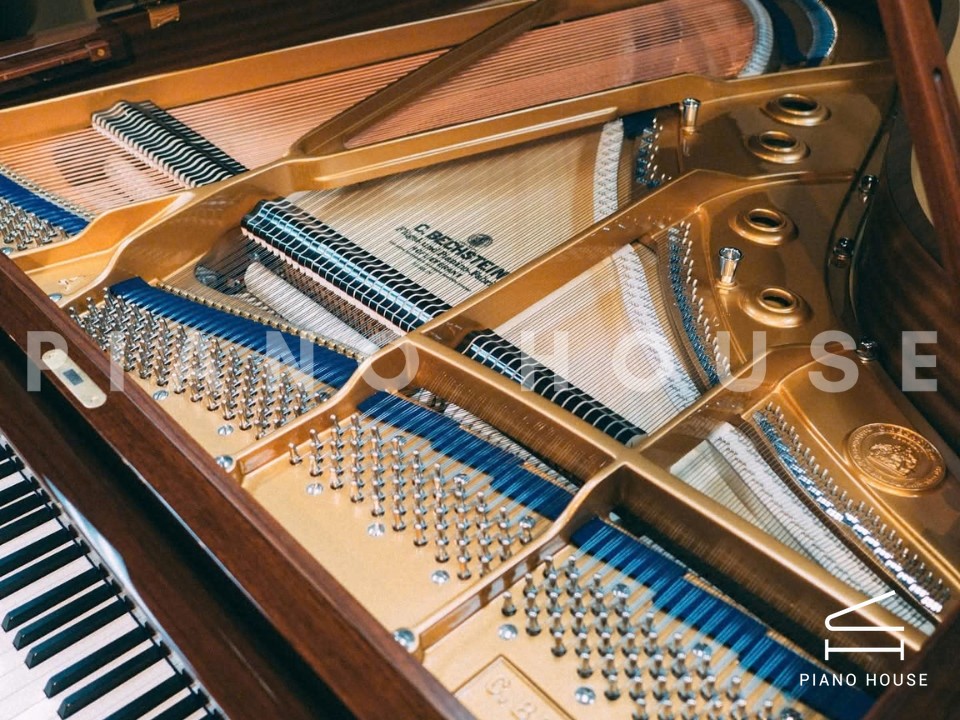 Concert A192 (Walnut with Brass)