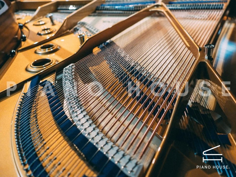 Concert A192 (Walnut with Brass)