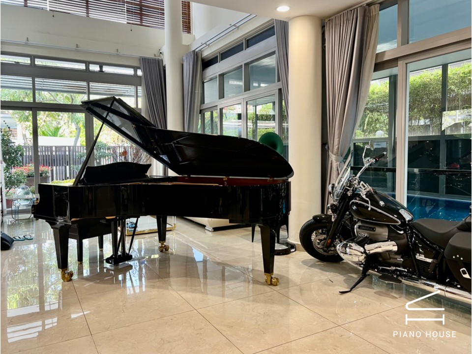 C.Bechstein Concert C234