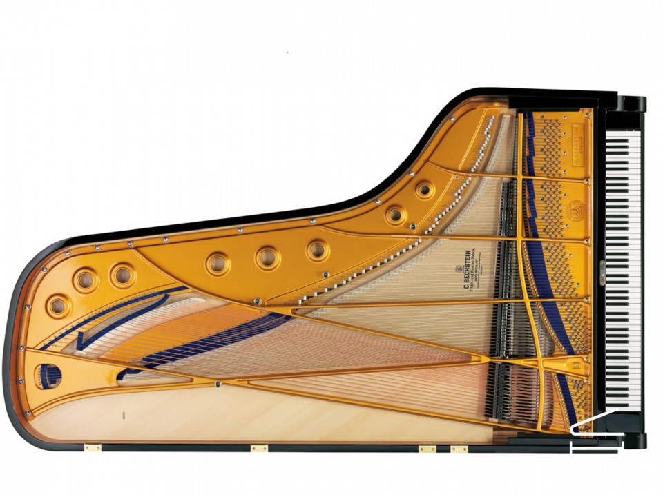 C.Bechstein Concert D282