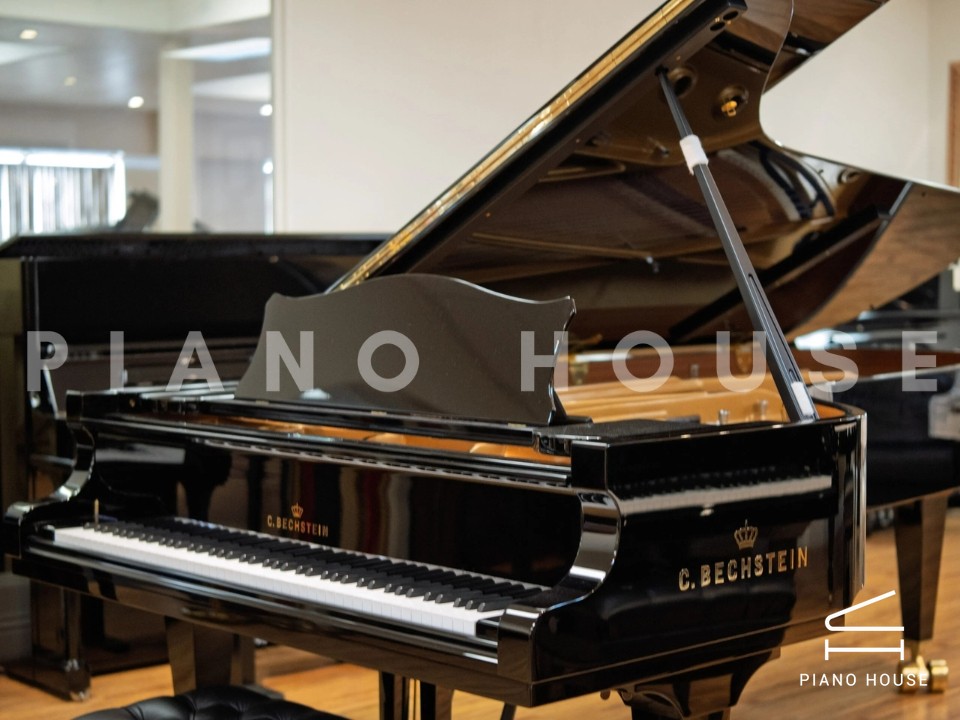C.Bechstein Concert D282