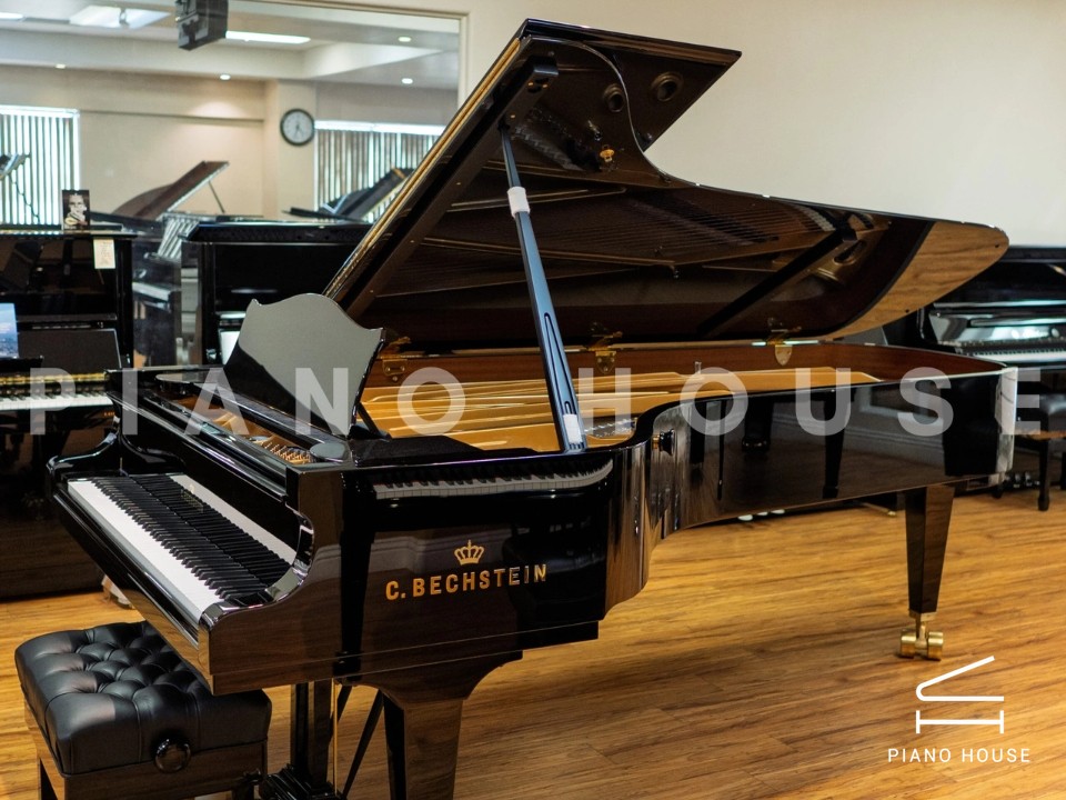 C.Bechstein Concert D282